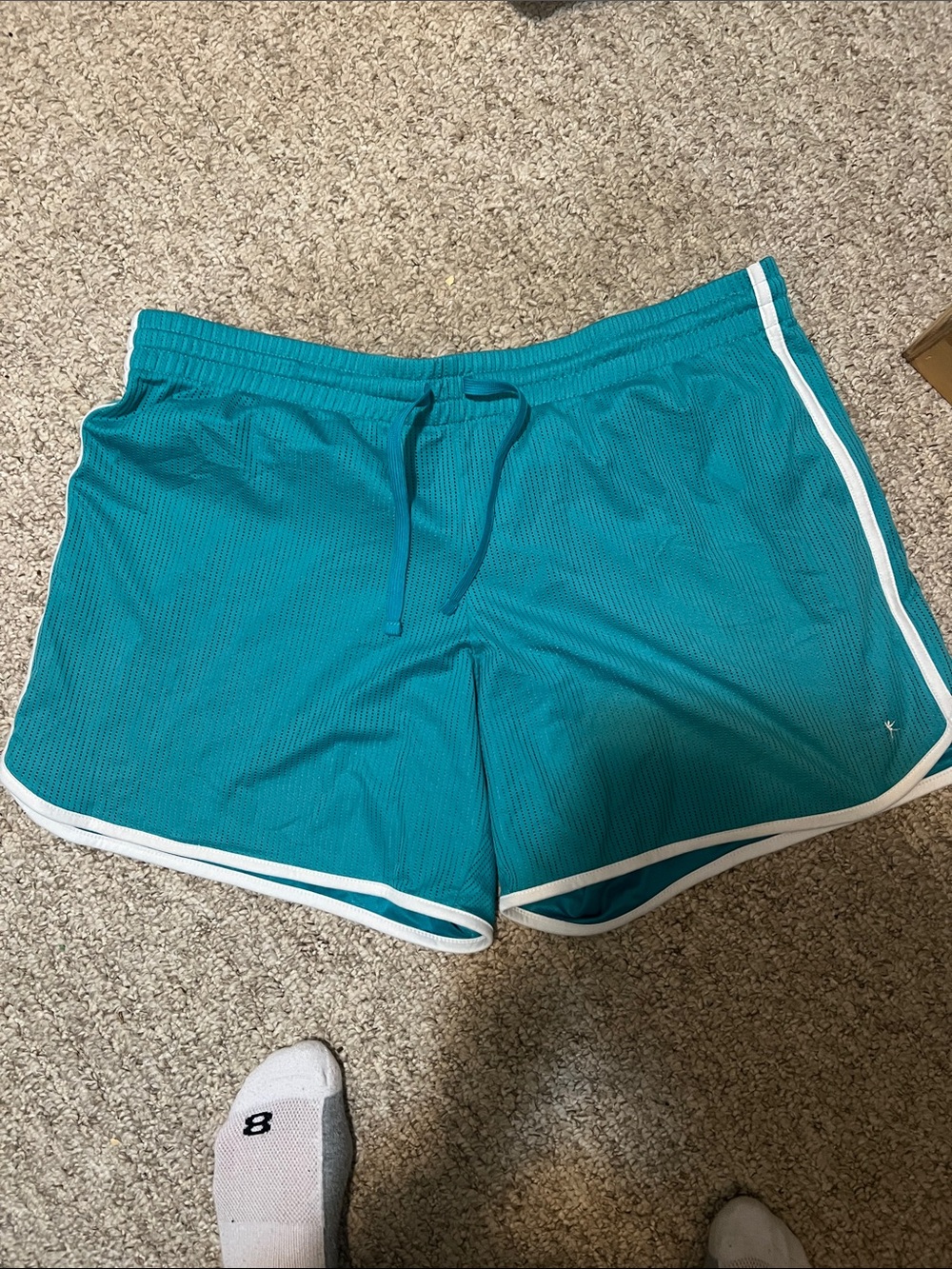 Danskin Now Teal Athletic Shorts with White Trim